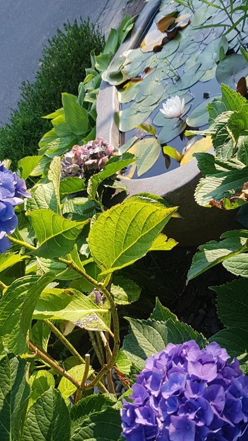Stylisches Garden