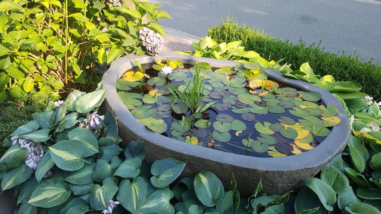 Stylisches Garden Apartment